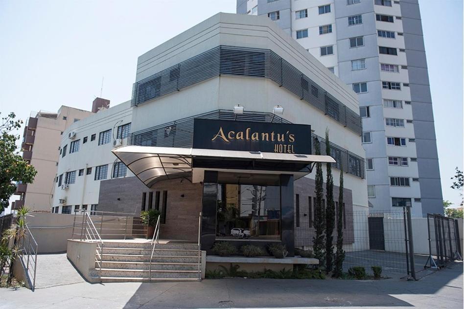 Acalantus Hotel Гоянія Екстер'єр фото